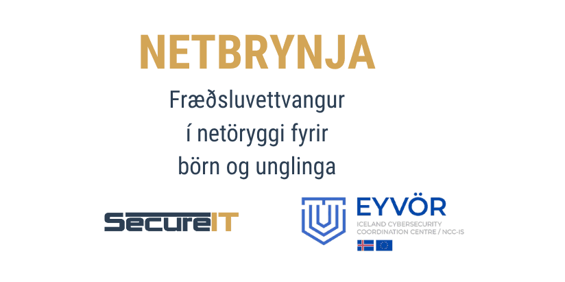 Netbrynja – Cybersecurity Education for kids and teenagers: Project Update & Next Steps